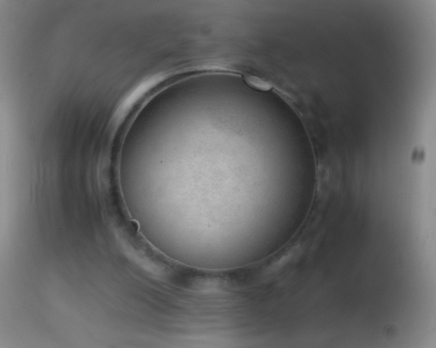 X0000114660200200910201538