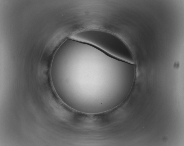 X0000114660201200910201538