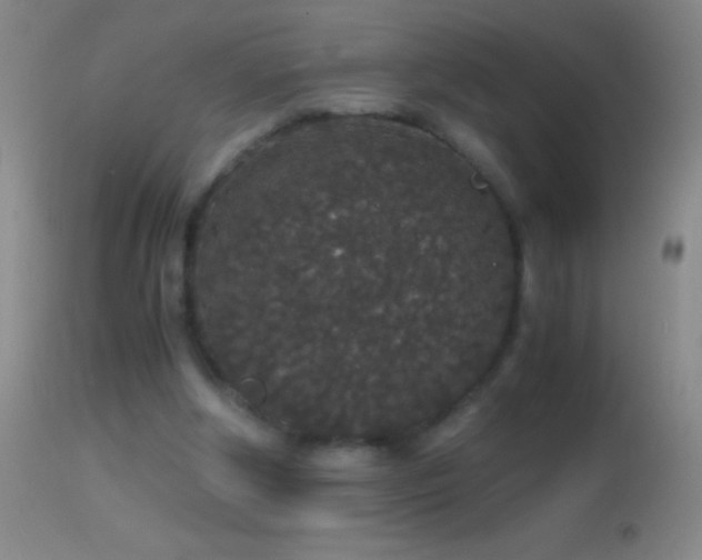 X0000114660202200910201538