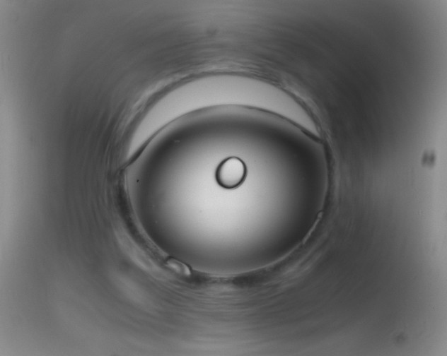 X0000114660203200910201538