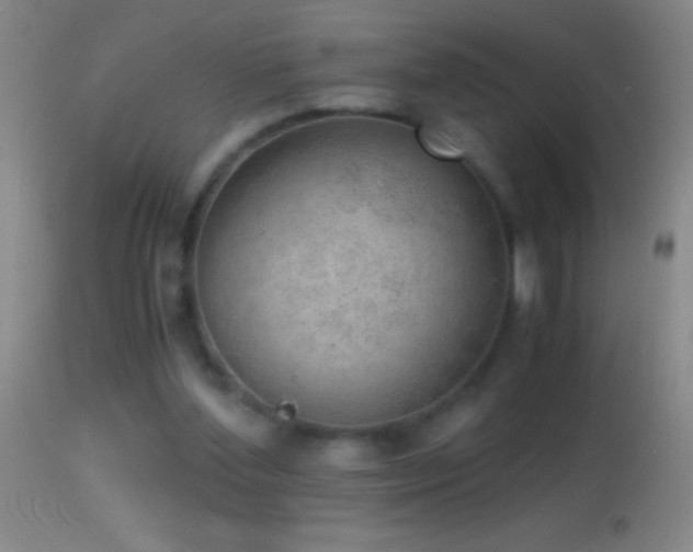 X0000114660204200910201538