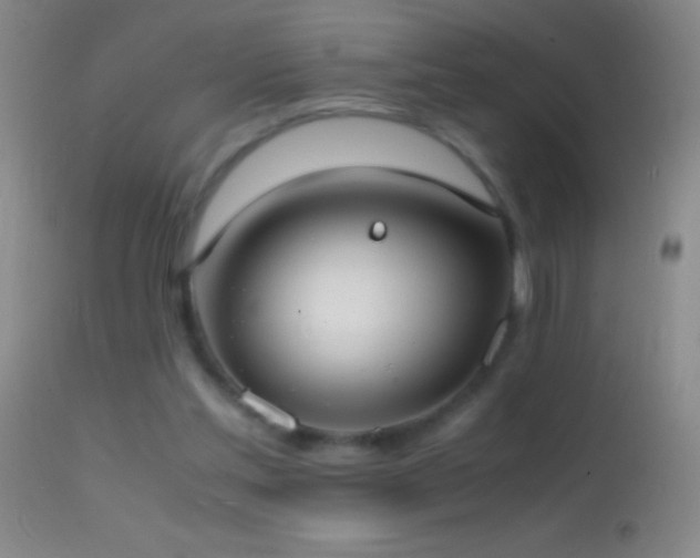 X0000114660205200910201538