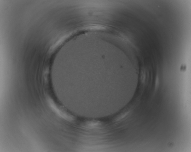 X0000114660206200910201538