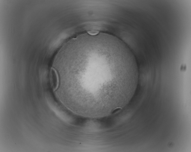 X0000114660207200910201538