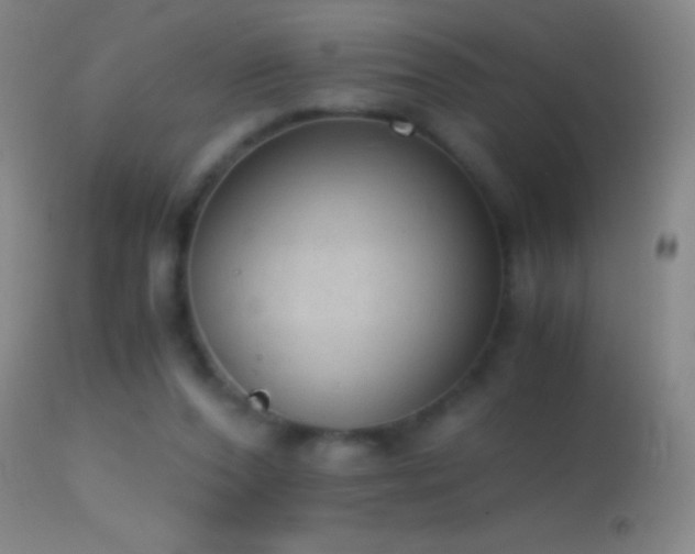 X0000114660208200910201538