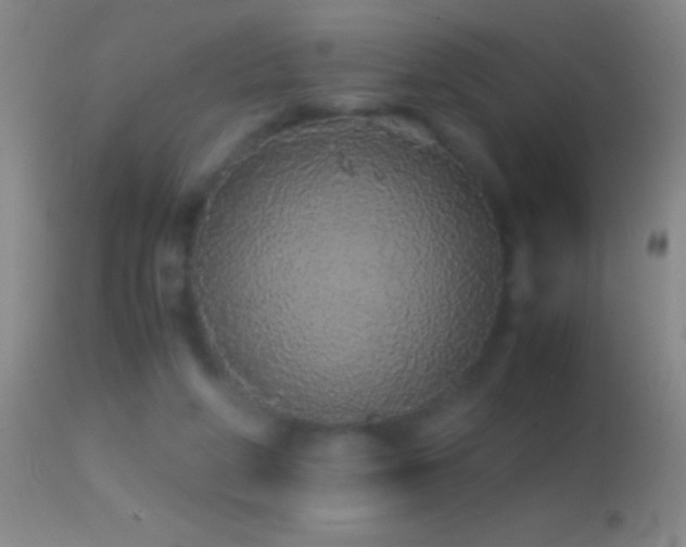 X0000114660210200910201538