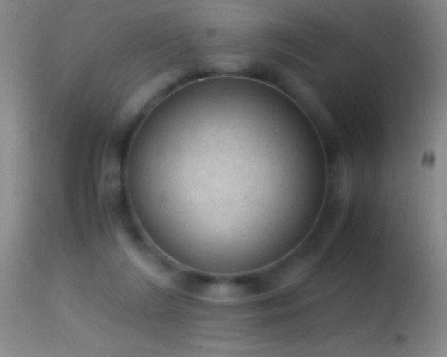 X0000114660212200910201538