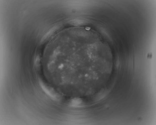 X0000114660214200910201538