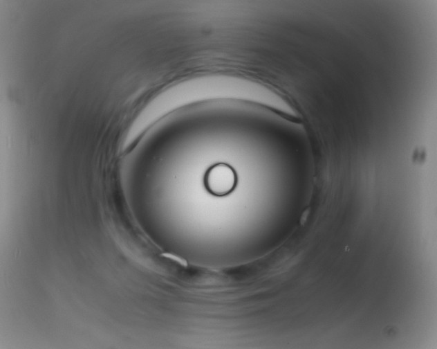 X0000114660215200910201538