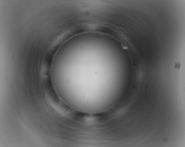 X0000114660216200910201538