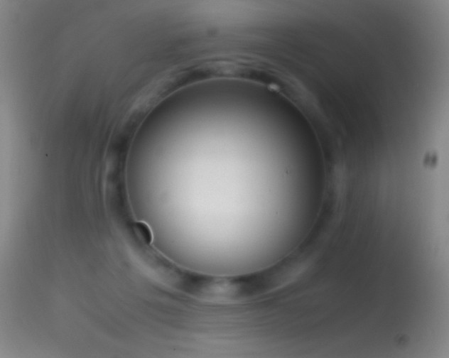 X0000114660217200910201538