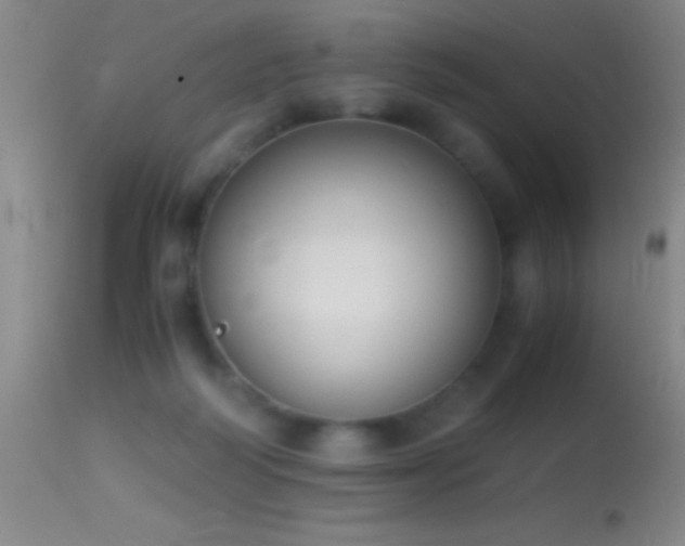 X0000114660218200910201538