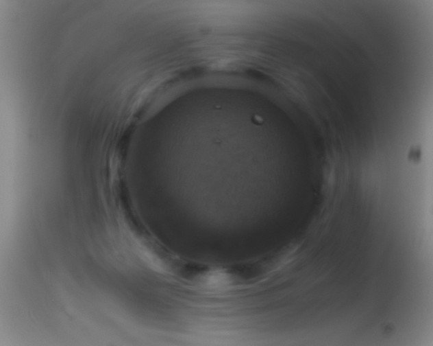 X0000114660219200910201538