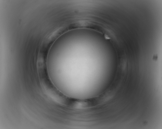 X0000114660220200910201538