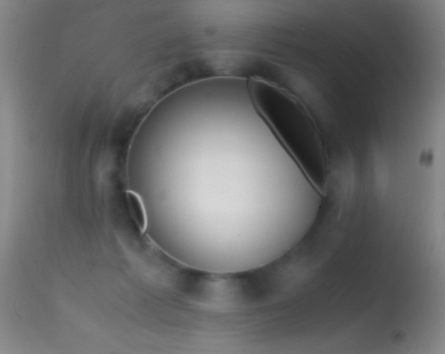 X0000114660221200910201538