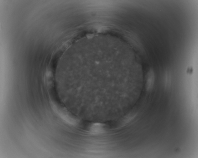 X0000114660222200910201538