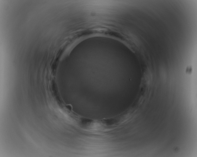 X0000114660223200910201538