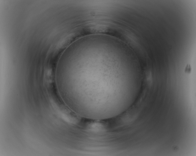 X0000114660224200910201538