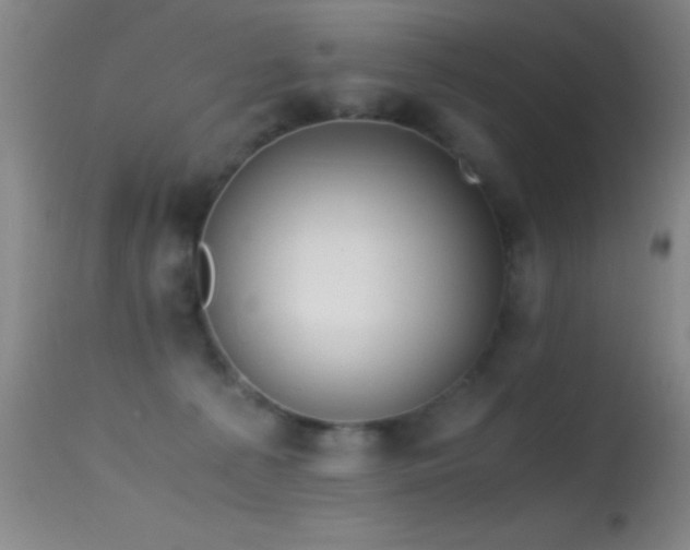 X0000114660225200910201538