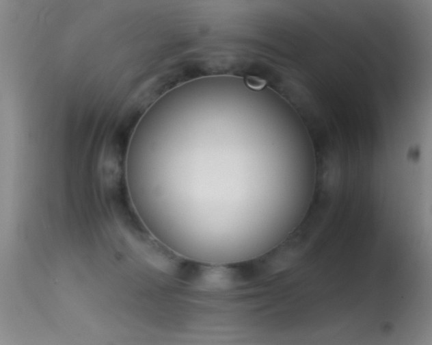 X0000114660226200910201538