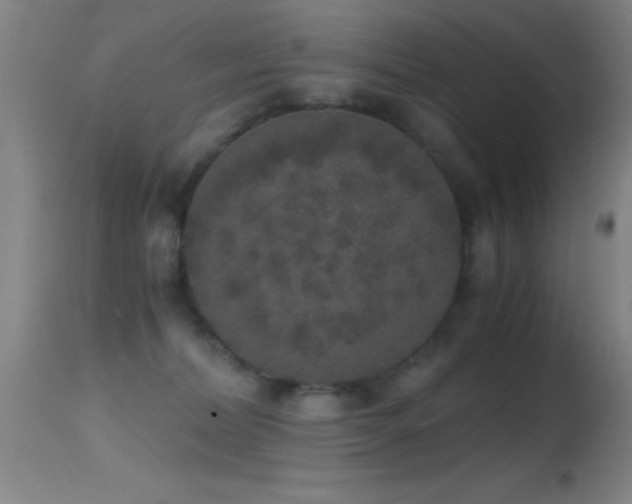 X0000114660228200910201538