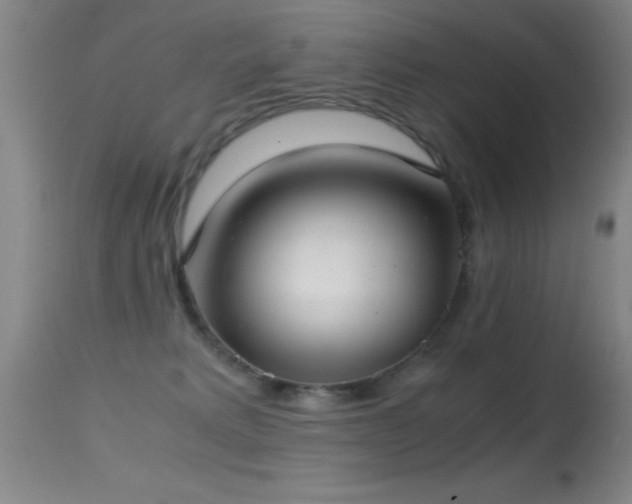 X0000114660229200910201538