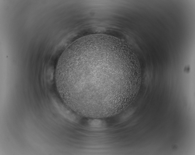 X0000114660230200910201538