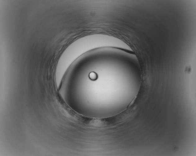 X0000114660231200910201538