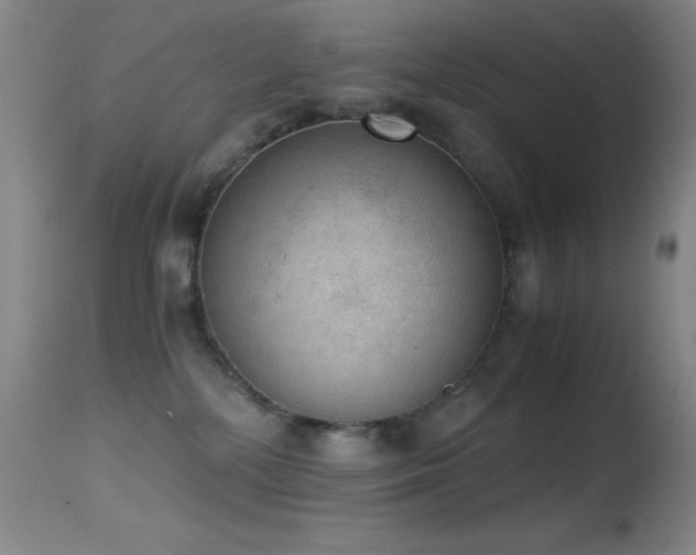 X0000114660232200910201538