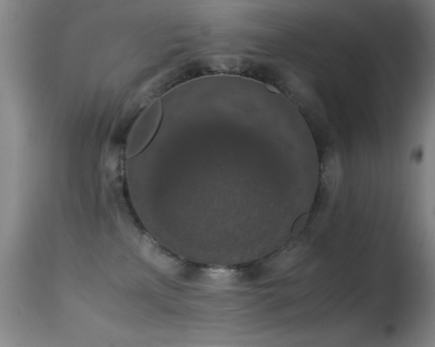 X0000114660233200910201538