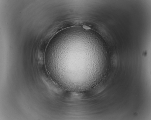 X0000114660234200910201538