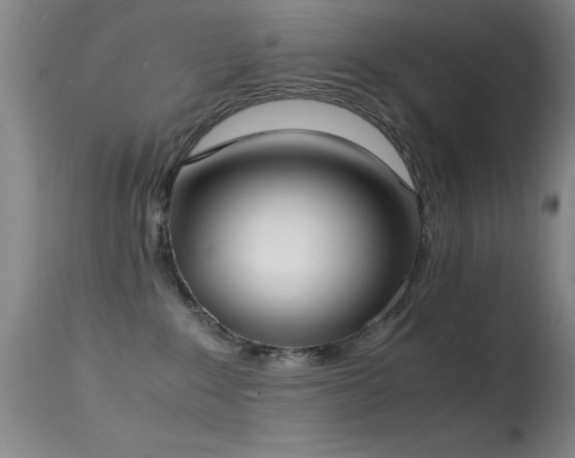 X0000114660235200910201538