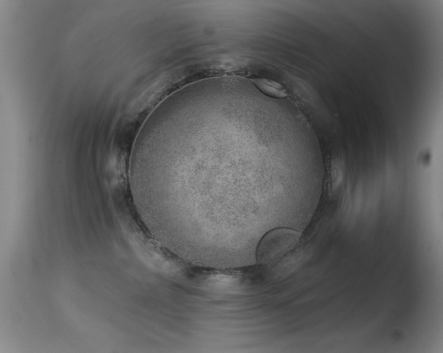 X0000114660236200910201537