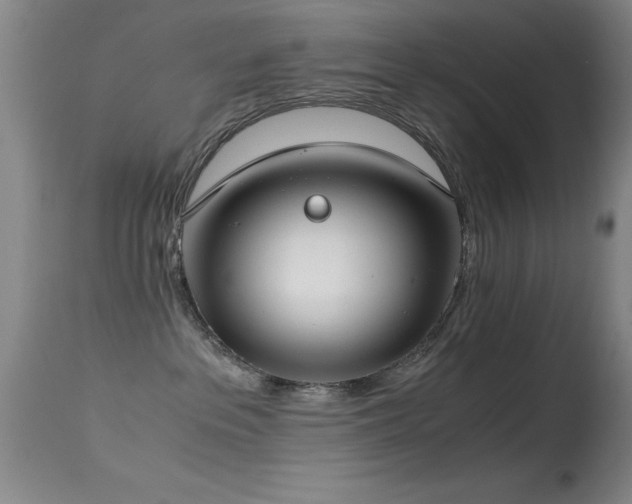 X0000114660237200910201537