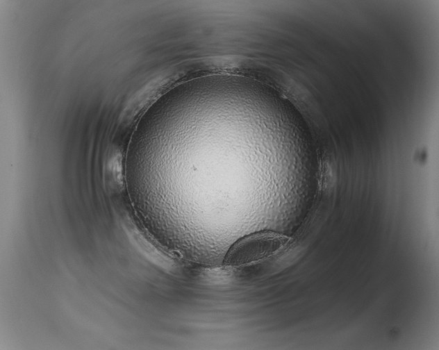 X0000114660238200910201537