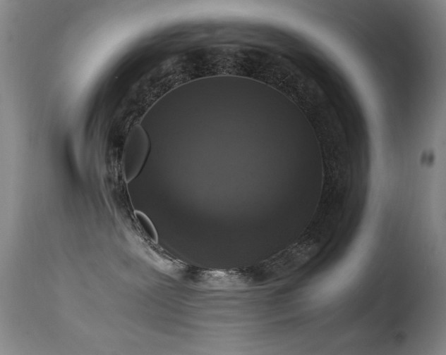 X0000114660239200910201537