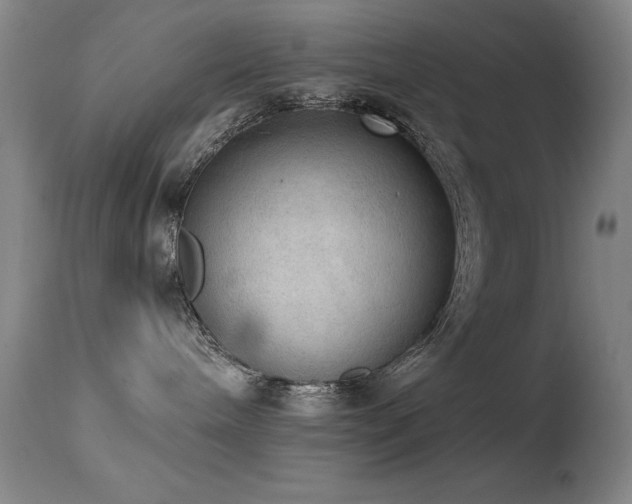 X0000114660240200910201537