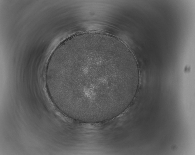 X0000114660241200910201537