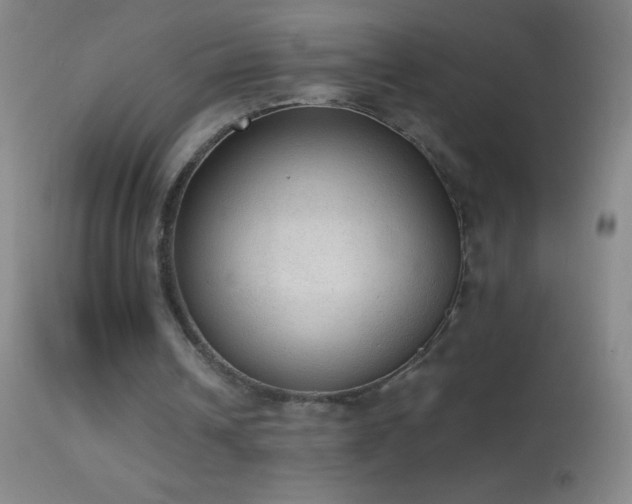 X0000114660242200910201537