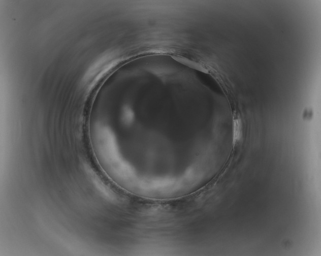 X0000114660243200910201537