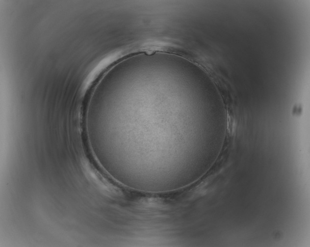 X0000114660244200910201537