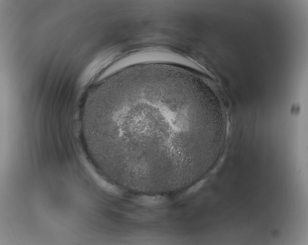 X0000114660245200910201537