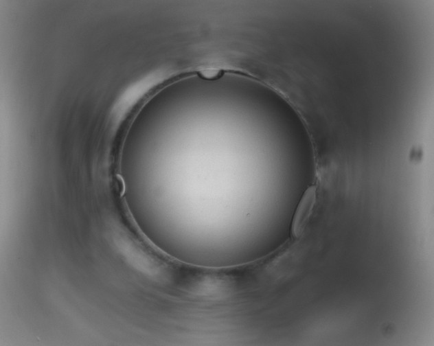 X0000114660248200910201537