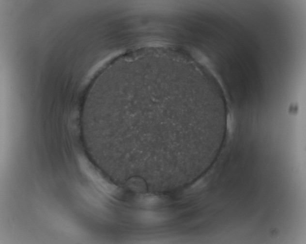 X0000114660249200910201537