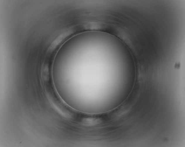 X0000114660251200910201537