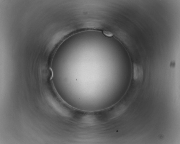 X0000114660252200910201537