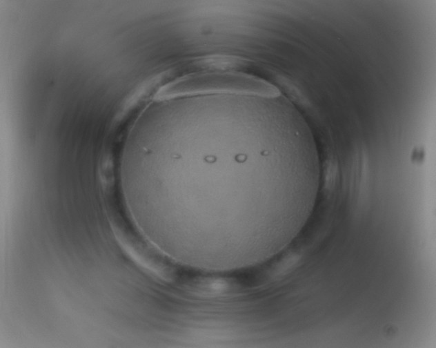 X0000114660254200910201537