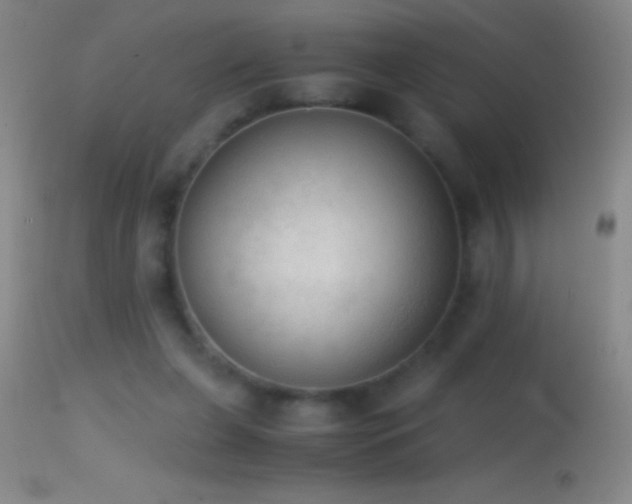 X0000114660255200910201537