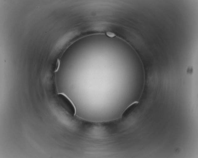 X0000114660256200910201537