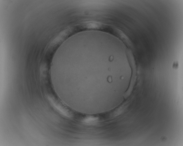 X0000114660257200910201537